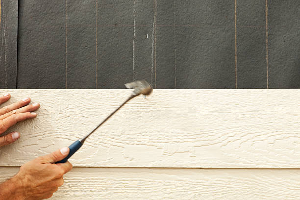 Best Custom Siding Design  in Salisbury, MO
